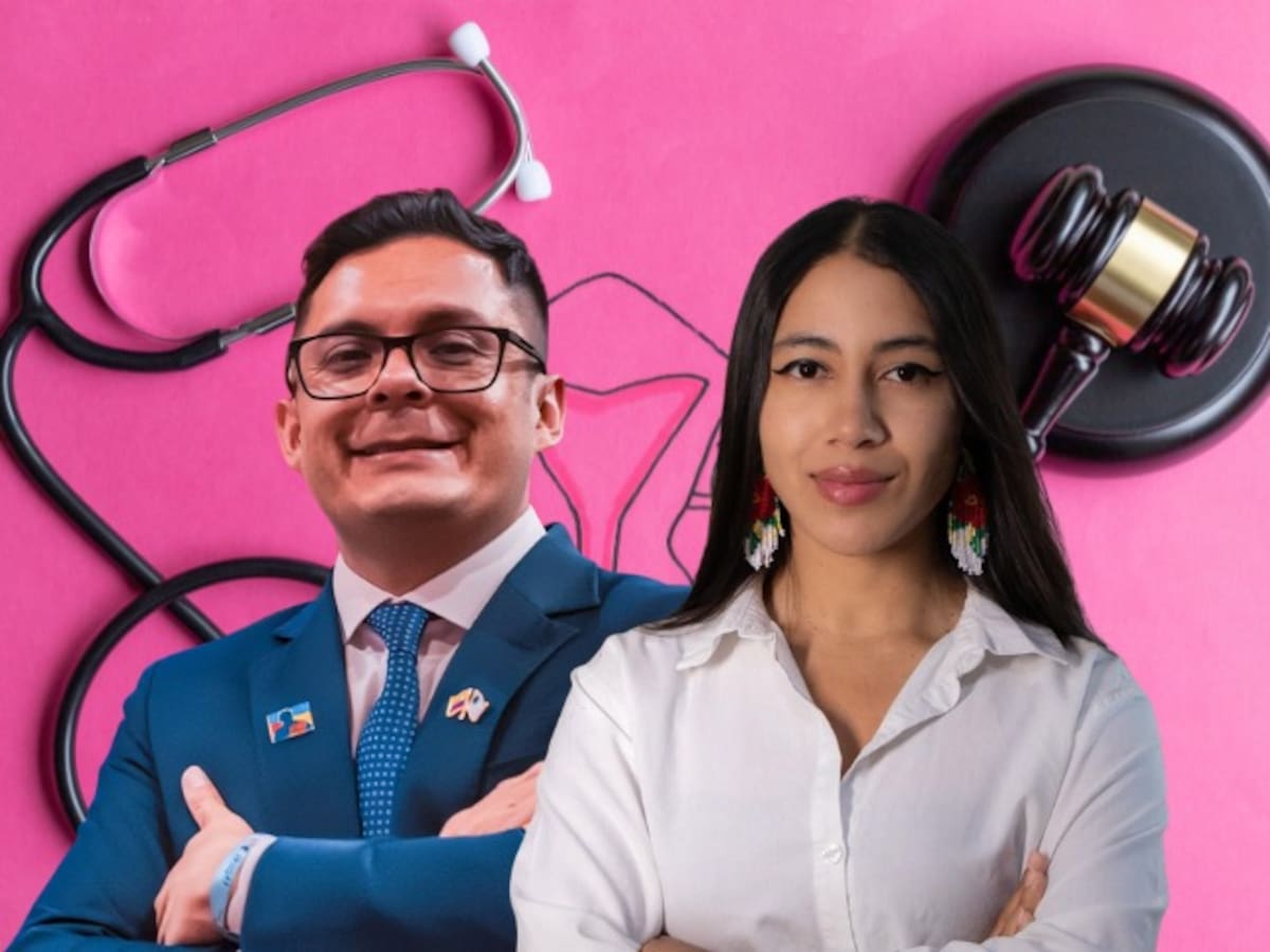 Duro debate por nuevo proyecto sobre el aborto: busca definir inicio de la vida desde la fecundación