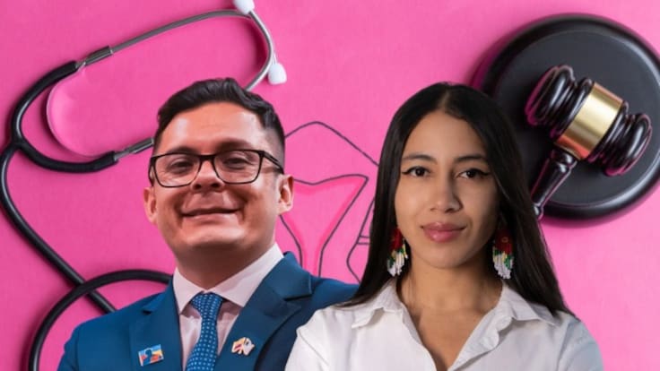 Duro debate por nuevo proyecto sobre el aborto: busca definir inicio de la vida desde la fecundación