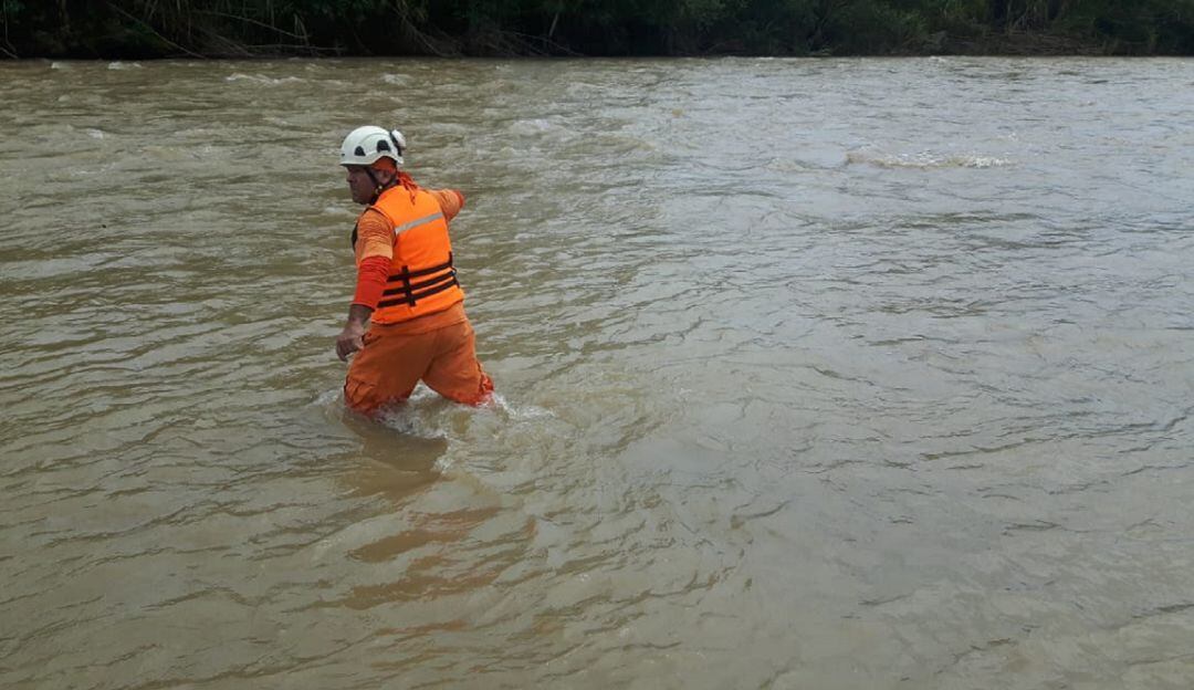 Búsqueda de ahogado/Imagen de referencia