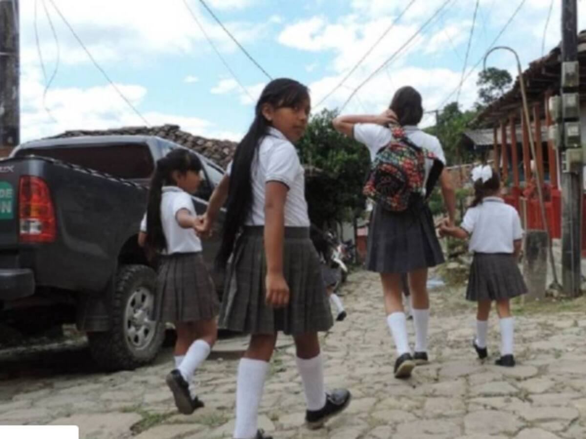 El Concejo de Manizales pide a MinEducación no regresar a clases en agosto