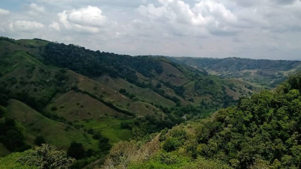 Informe día de la tierra en el Quindío