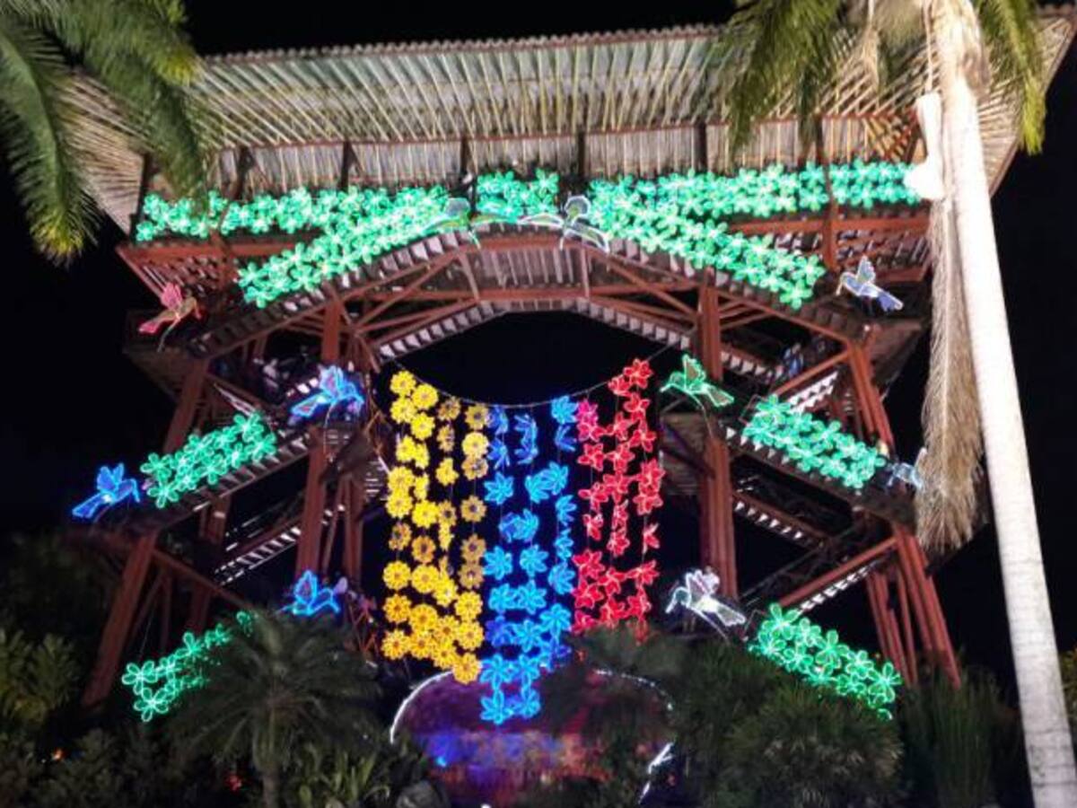 Las noticias más importantes de Armenia y Quindío, lunes 11 de diciembre