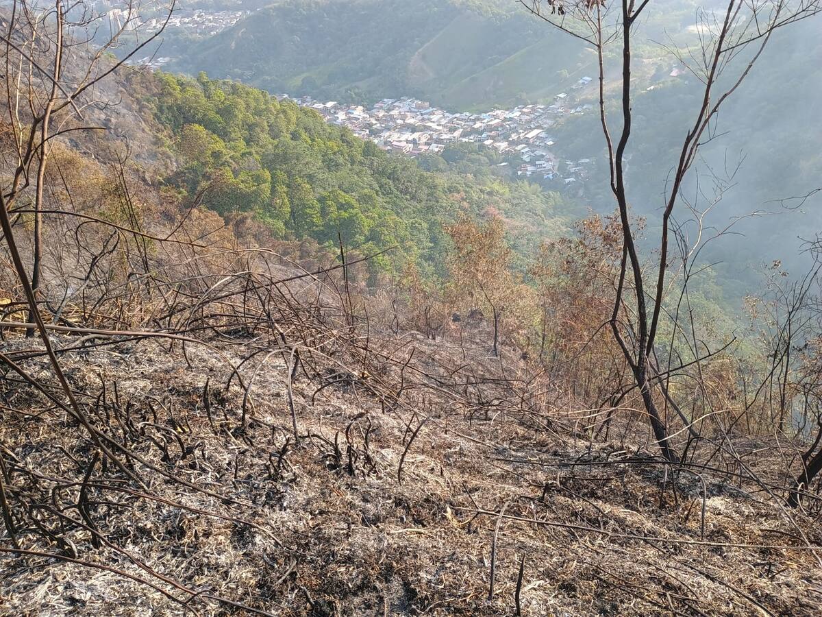 Controlado incendio forestal en el barrio La Gaviota de Ibagué