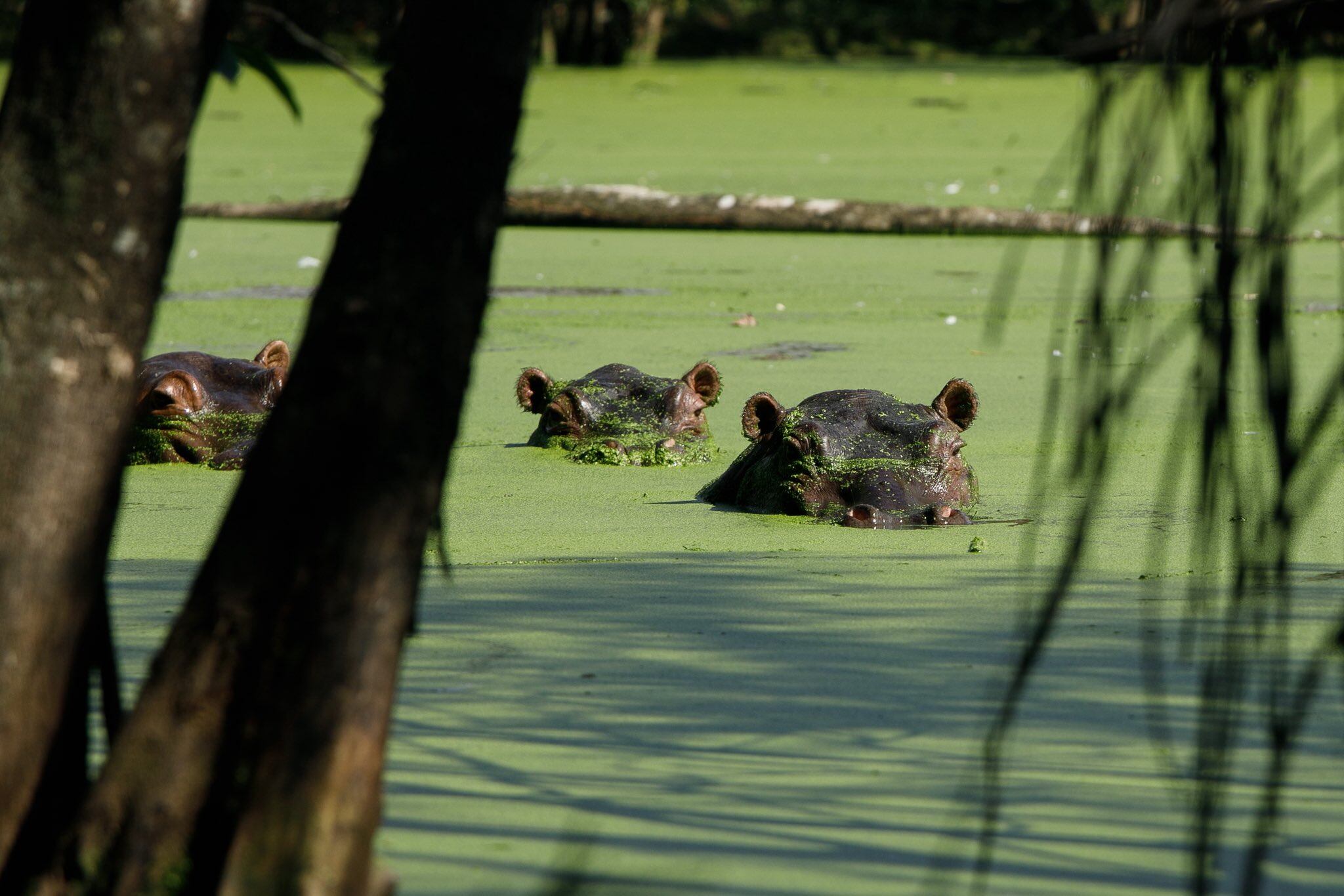 Foto: Ministerio de Ambiente