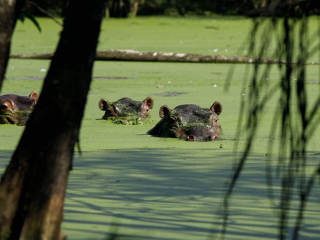Foto: Ministerio de Ambiente