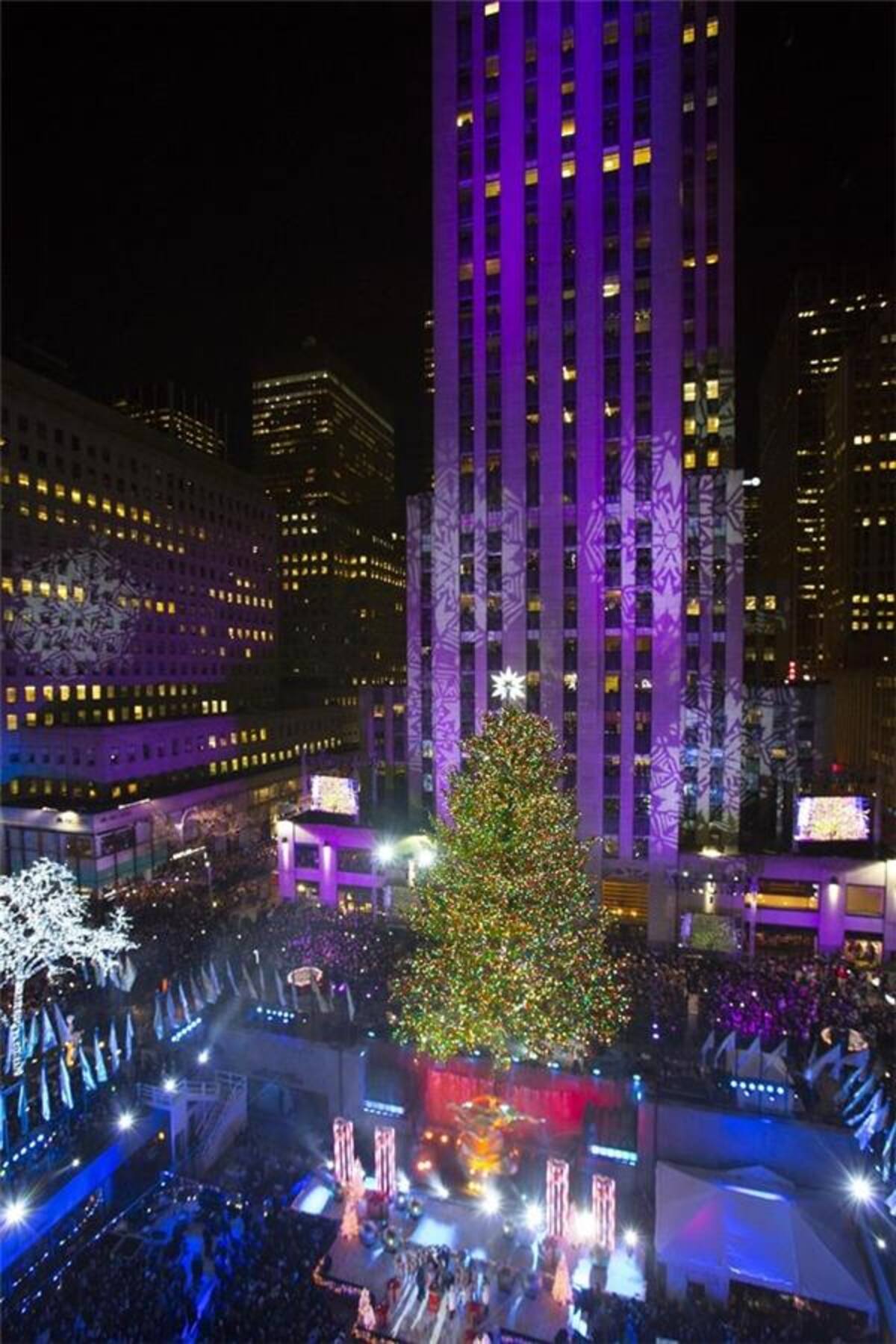 Árboles humanos, en los ríos y las ciudades más emblemáticas del mundo inundadas de luces y de la magia de la navidad. / Nueva York ilumina el árbol de Navidad del Rockefeller Center.