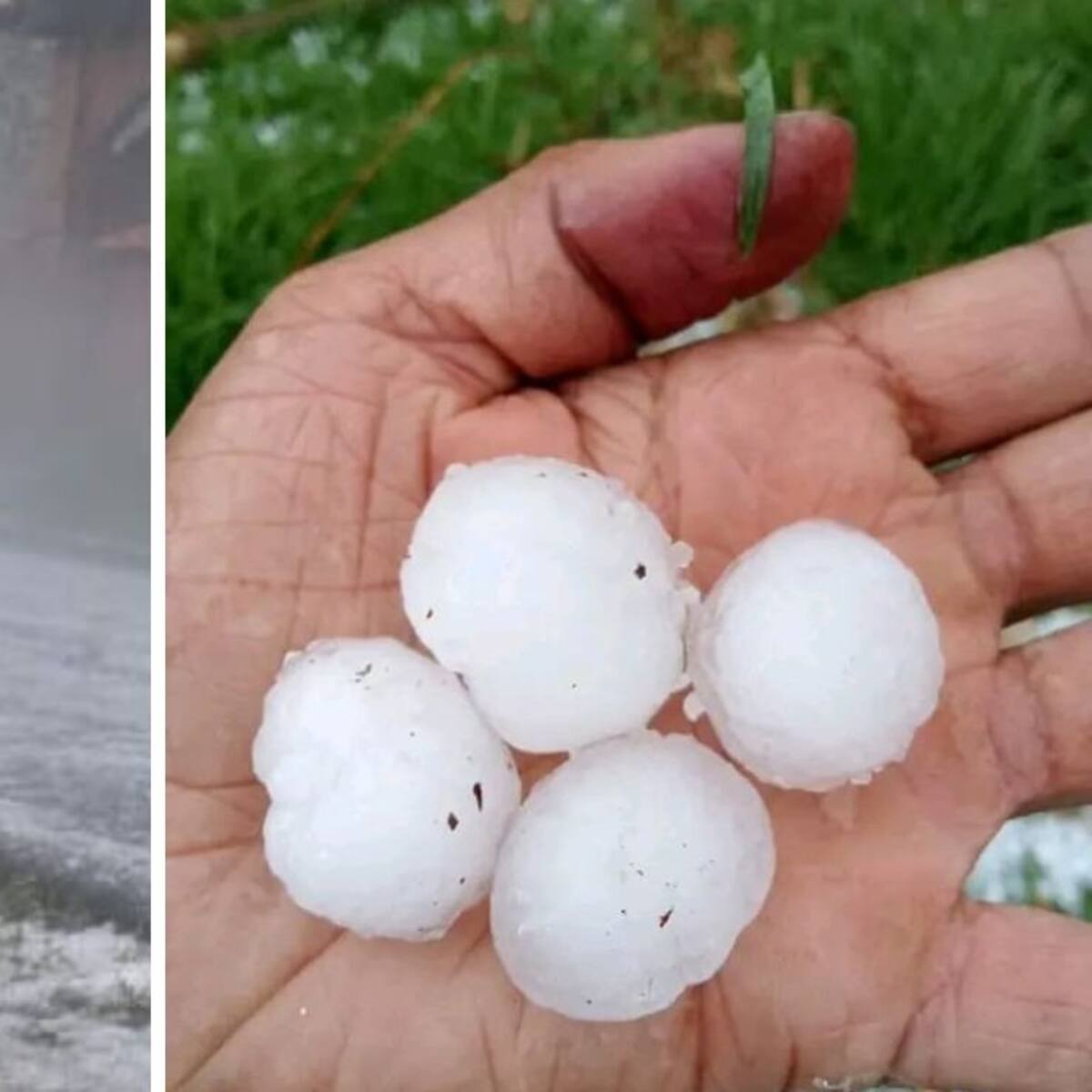 Granizada afectó cultivos en varios municipios de Santander