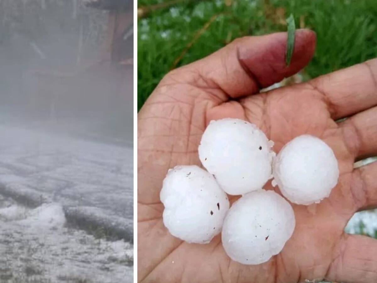 Granizada afectó cultivos en varios municipios de Santander