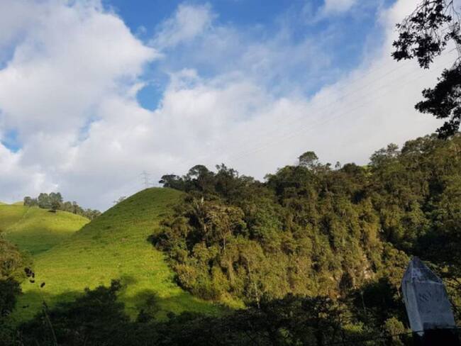 Un grupo de personas compró los predios de tres fincas en la jurisdicción de las veredas La leona y Potosí del municipio de Cajamarca.