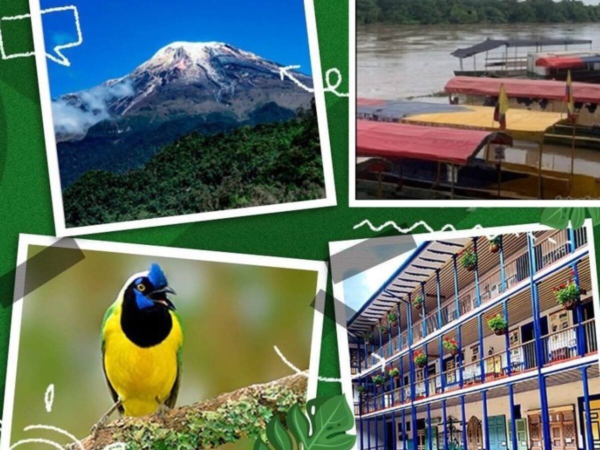 RAP Eje Cafetero, unidos en el desarrollo turistico de la región