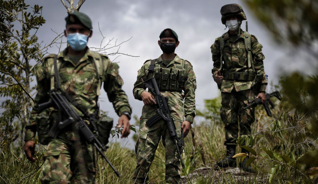 Imagen de referencia. 