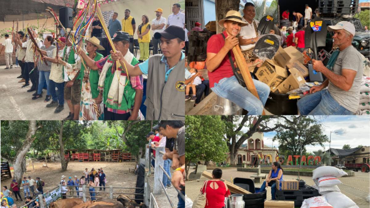 809 millones de pesos en insumos agrícolas y vacas lecheras para el pueblo Pijao