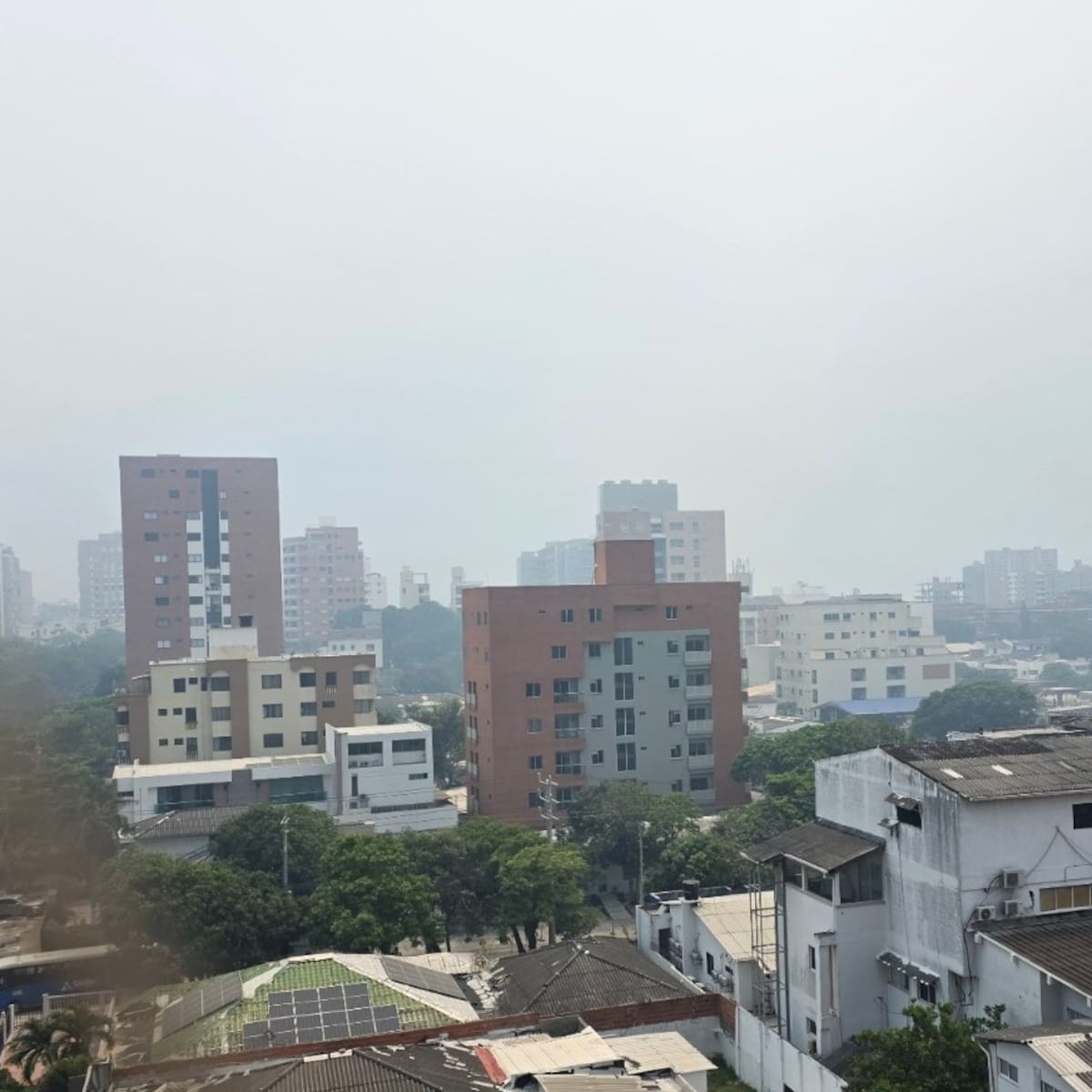 VIDEO: densa nube de humo cubre el norte de Barranquilla por incendio en el Parque Isla Salamanca