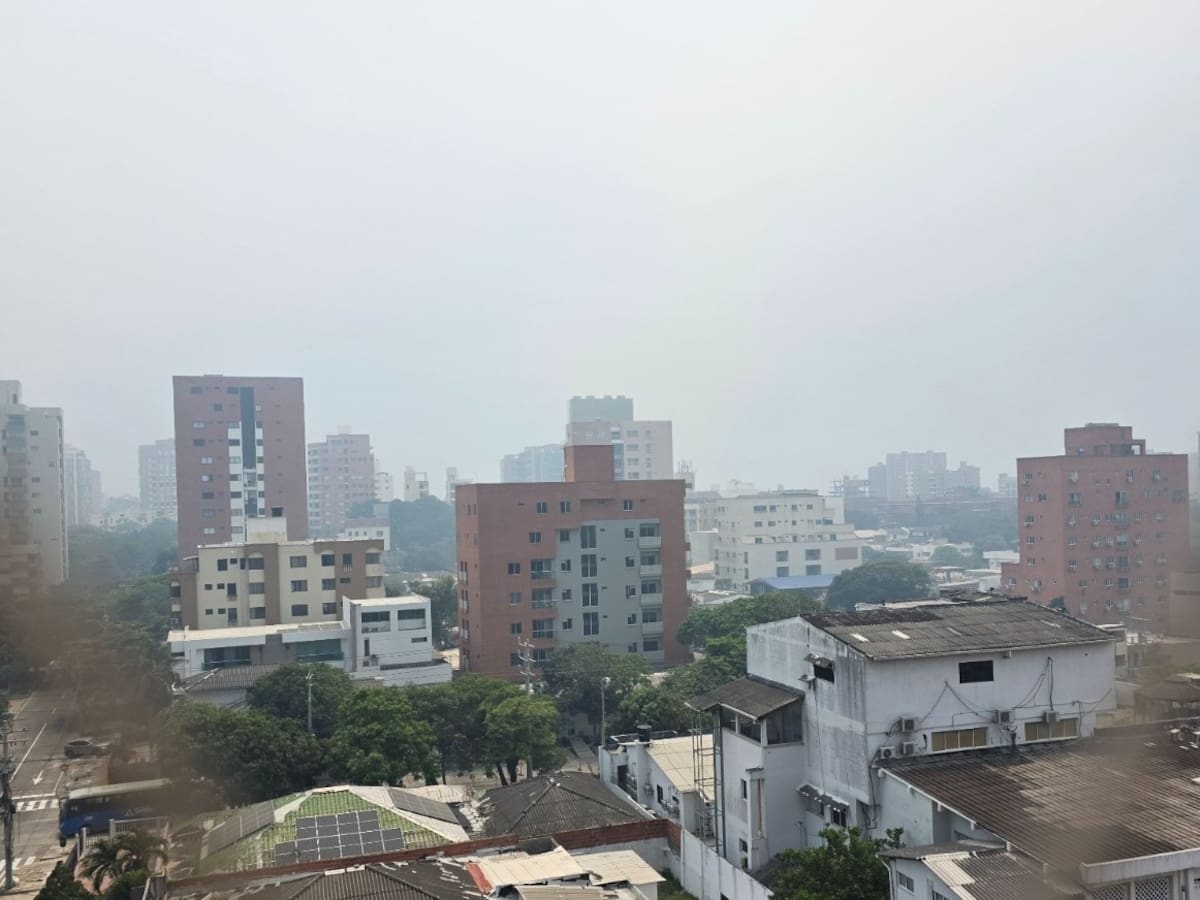 VIDEO: densa nube de humo cubre el norte de Barranquilla por incendio en el Parque Isla Salamanca