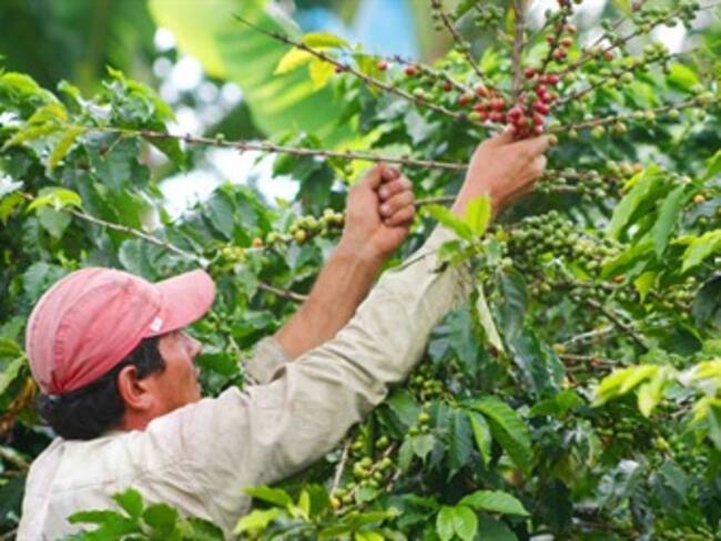 Dignidad Cafetera en el Quindío pide al Gobierno cumplir los acuerdos establecidos