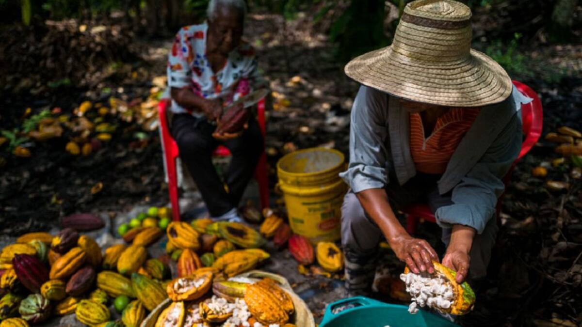 La seguridad alimentaria de Colombia analizan en la Universidad Nacional