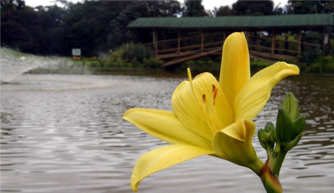 Jardín Botánico de Bogotá