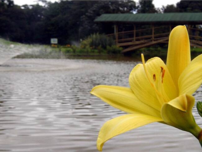Jardín Botánico de Bogotá