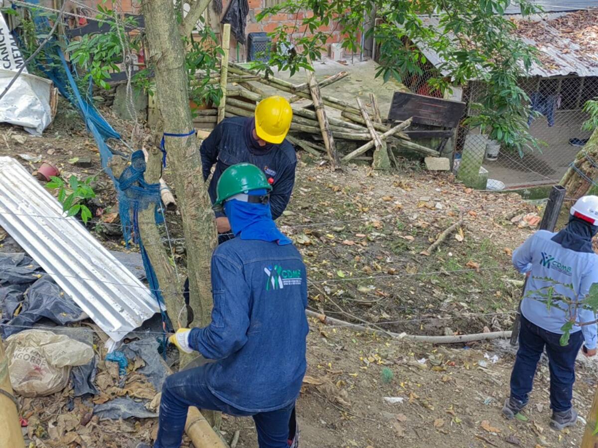 Desalojan predio de la Cdmb que había sido invadido