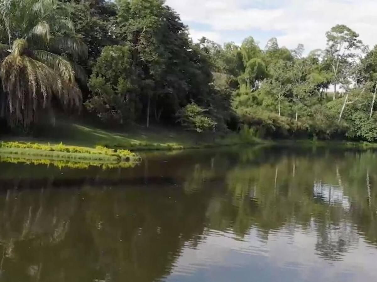 El Parque de la Vida, así es el pulmón verde de Armenia