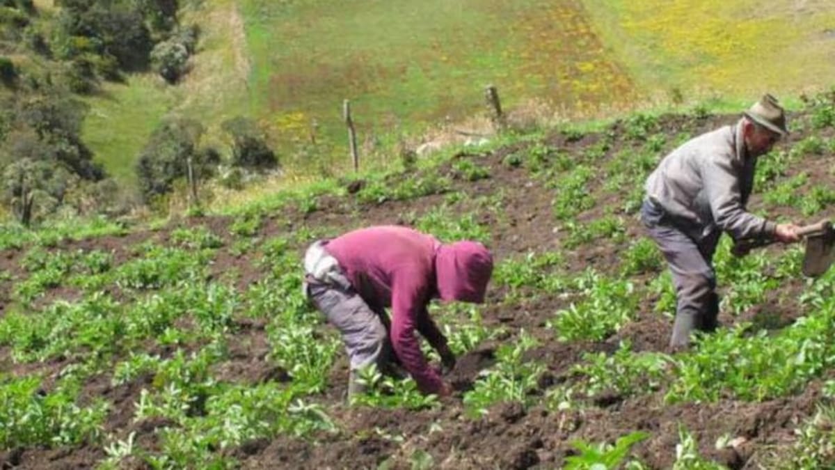 Buscan proteger al sector agrícola de Risaralda frente a los cambios climáticos