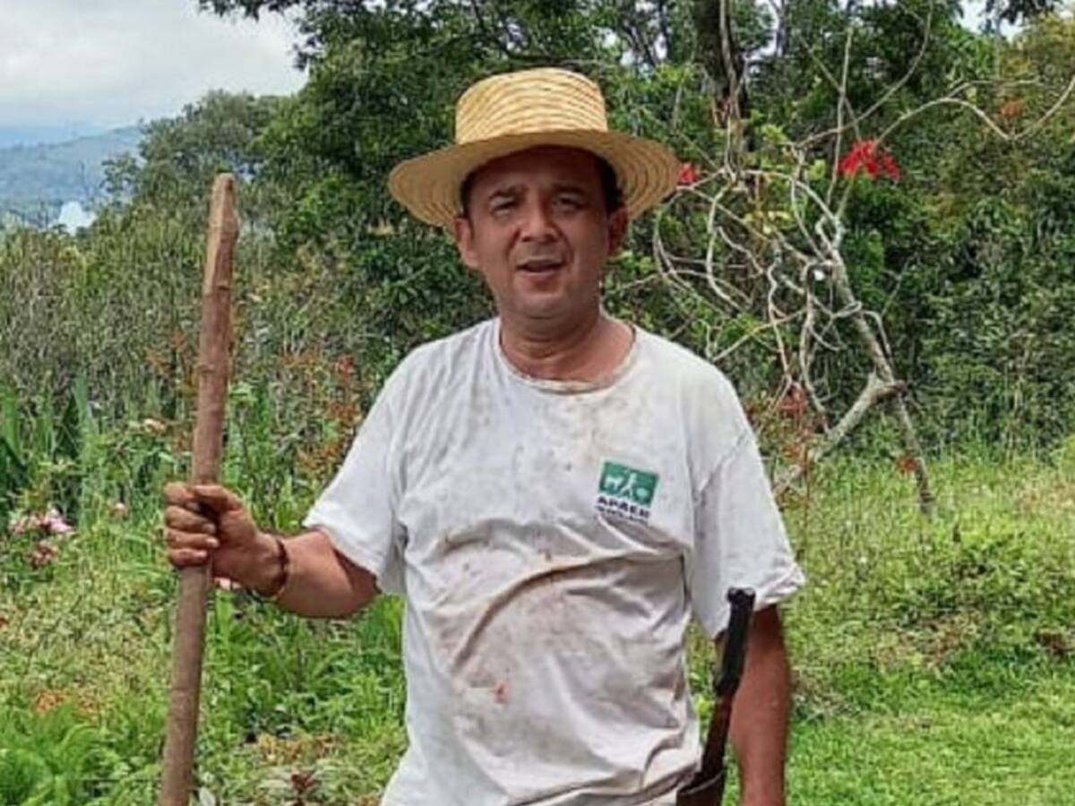 La otra cara del Cauca: Emprendimientos en medio de la violencia