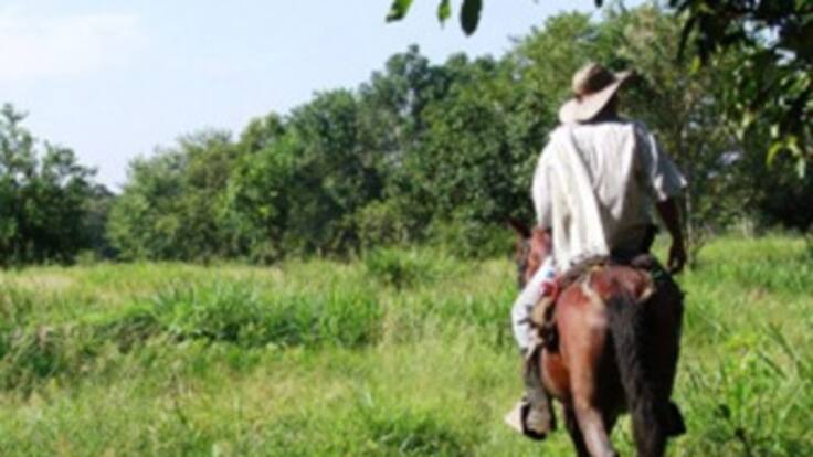Responsabilizan a la banda "Los Triana" del asesinato del reclamante de tierras