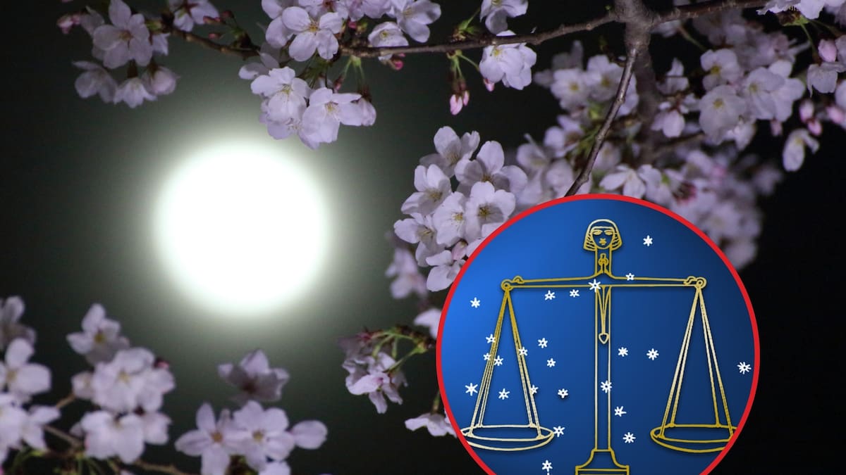 Inicia abril de 2026 con Luna Rosa: Qué es, significado astrológico y dónde verlo