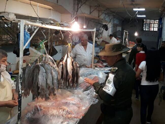 Recomendaciones a la hora de comprar pescado en Ibagué