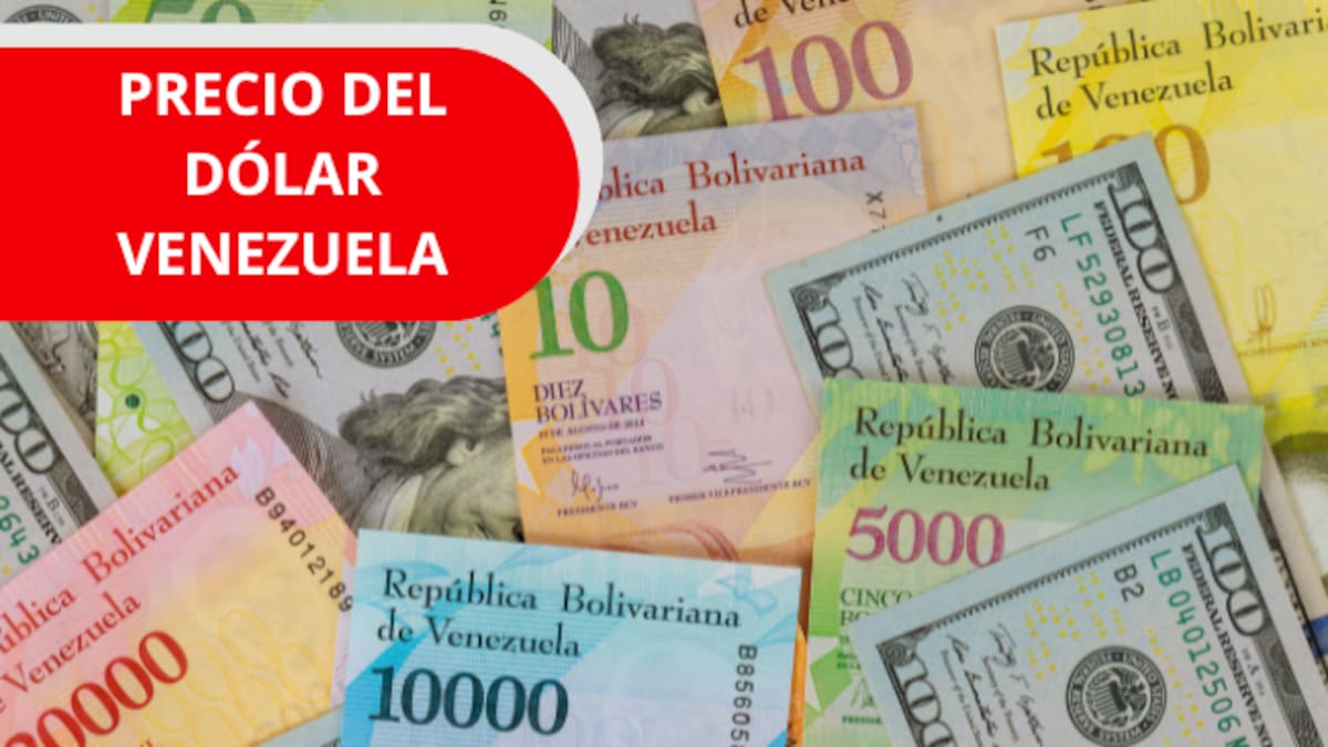 Precio del dólar en Venezuela para HOY 22 de junio de 2026: Leve aumento en las cotizaciones