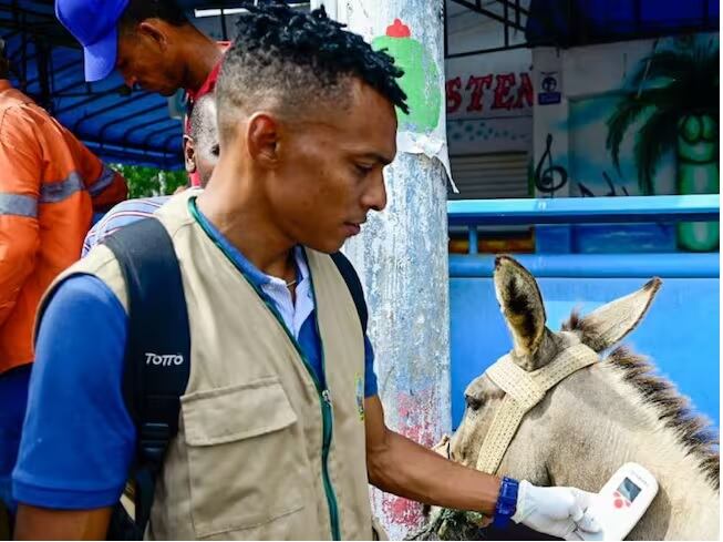 Alcaldía de Cartagena