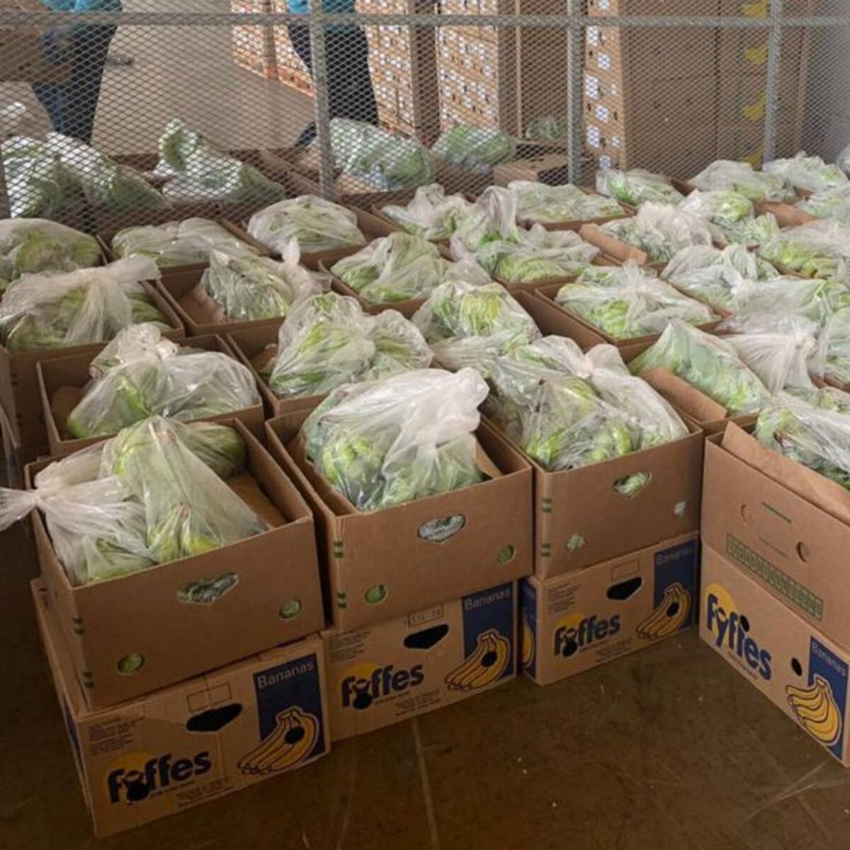 Incautan más de 600 kilos de cocaína en el puerto de Santa Marta
