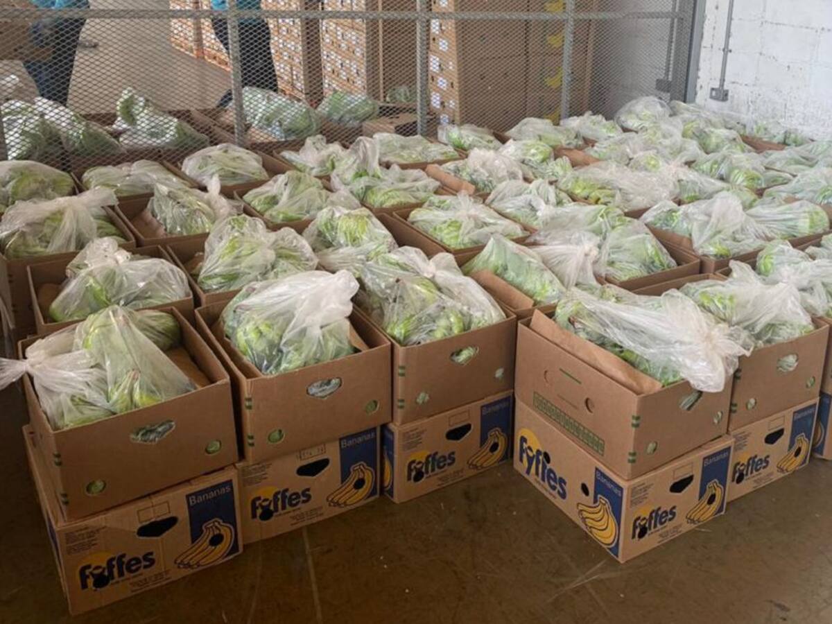 Incautan más de 600 kilos de cocaína en el puerto de Santa Marta