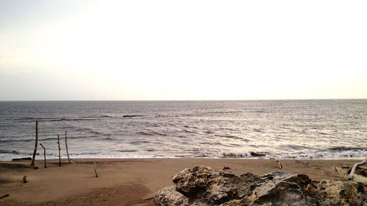 Biodiversidad e inclusión en el Plan de Desarrollo de Barranquilla