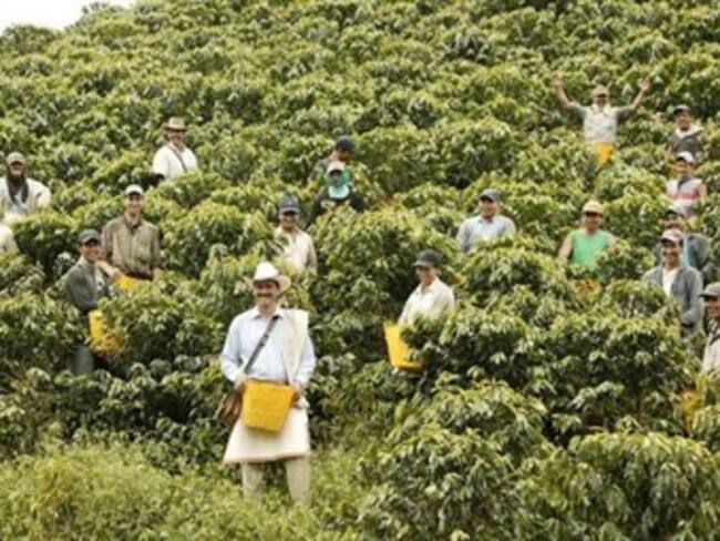 5.000 cafeteros del Quindío se beneficiaran con entrega del subsidio PIC