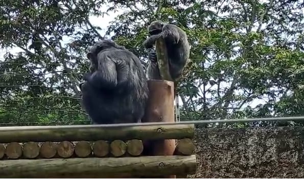 Imagen de archivo - Caracol Radio.