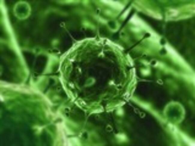 “El cerdo se puede comer”: Elmer Huertas, especialista en salud pública en EEUU