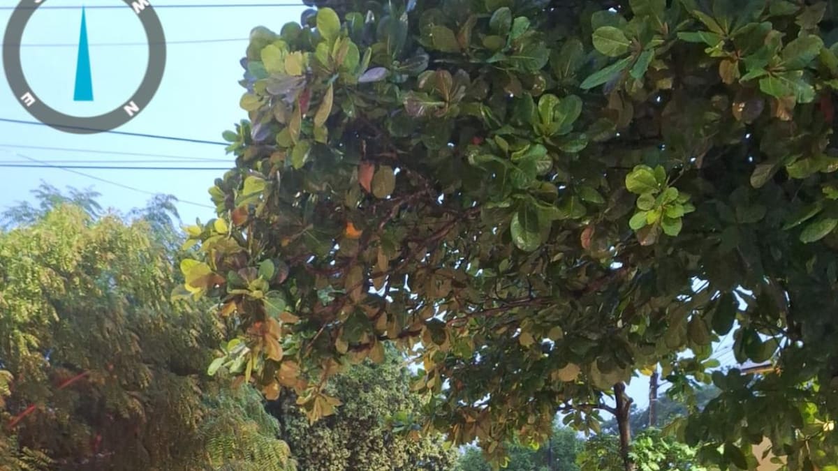 Se desbordan los ríos Guarinó y Doña Juana en La Dorada, Caldas