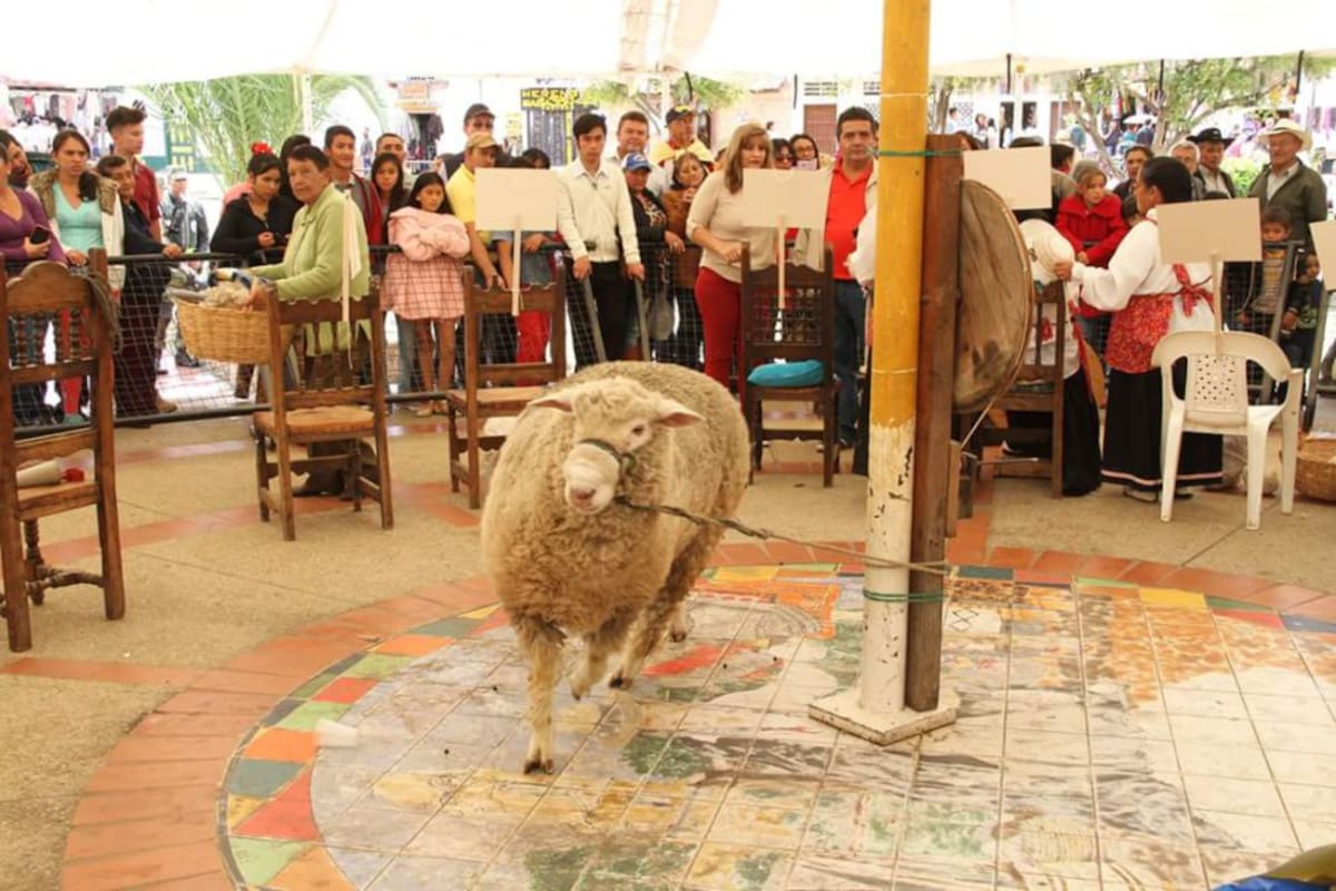 El reinado de Ovejas en Nobsa, Boyacá.