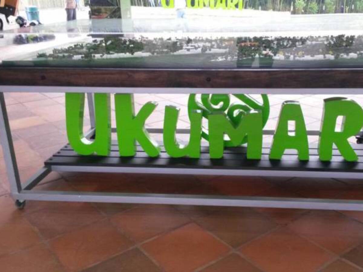 El traslado de los elefantes del Zoológico a Ukumarí estará a cargo de un grupo internacional