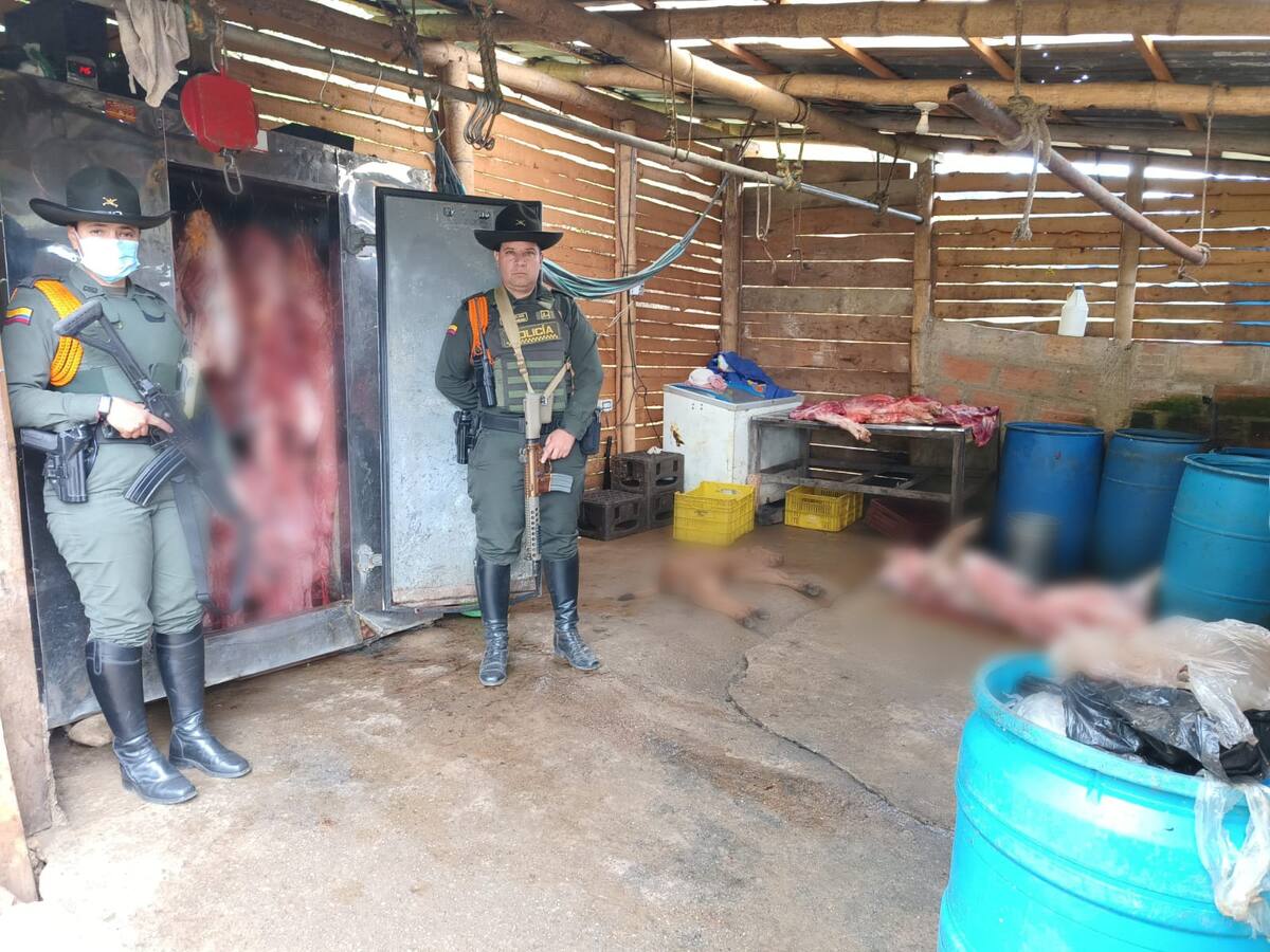 Incautaron tres toneladas de carne en mal estado en el Norte de Antioquia