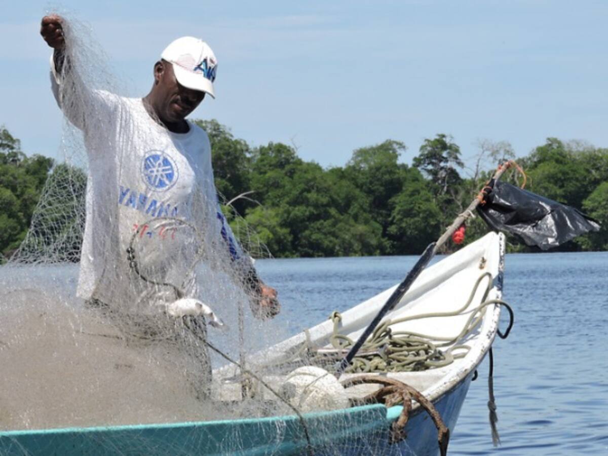 La "mala hora" para los pescadores de Honda, Tolima