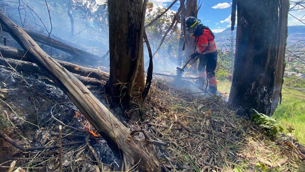 Incendio vegetal quemó una gran extensión de bosque en el corregimiento Santa Elena
