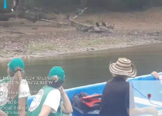 Aumenta la mortandad de animales en ciénaga del Magdalena Medio.