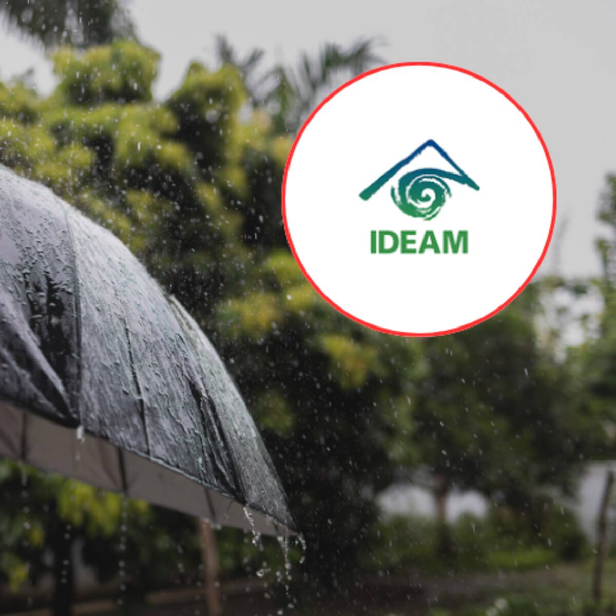 Alertan municipios de Risaralda por lluvias ¿cuáles son? Clima para el fin de semana, según IDEAM