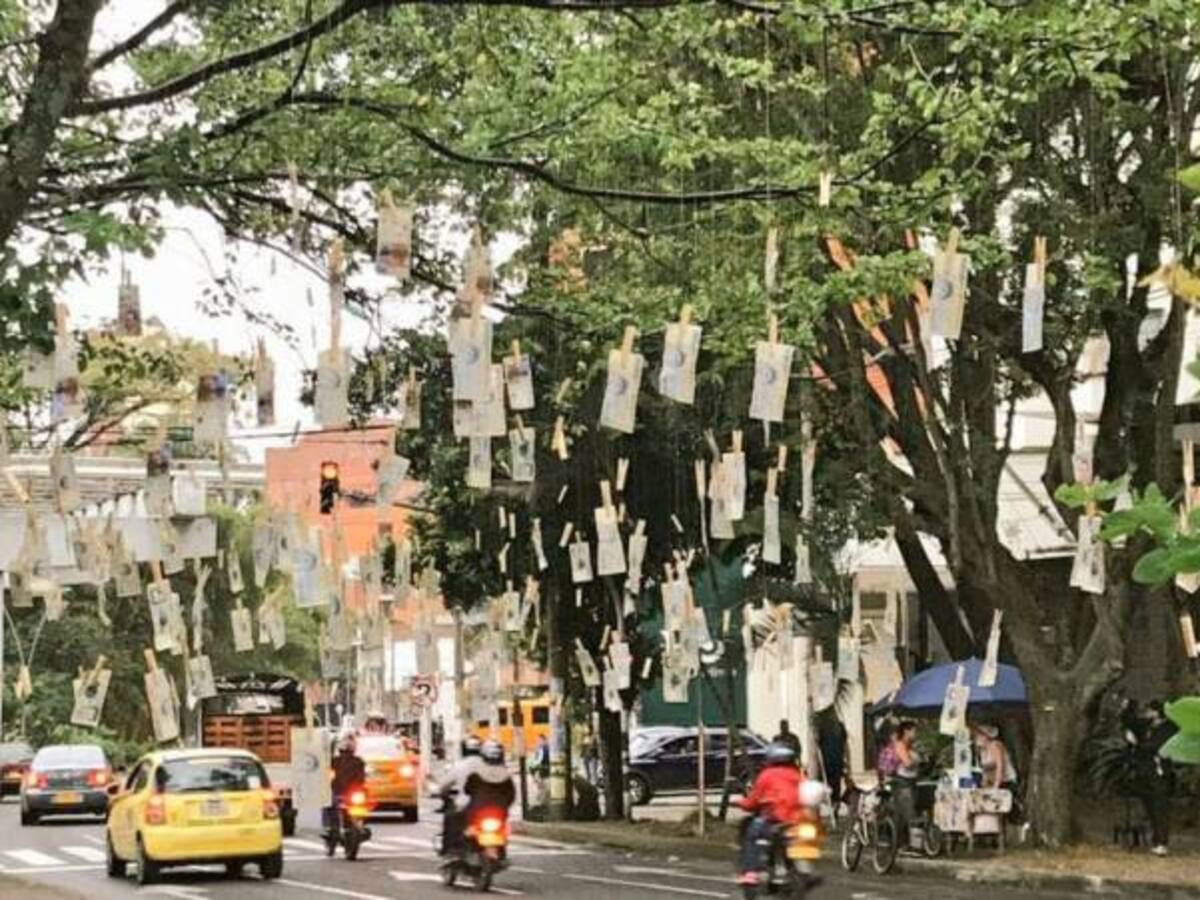 Romería por árbol con billetes en Cali