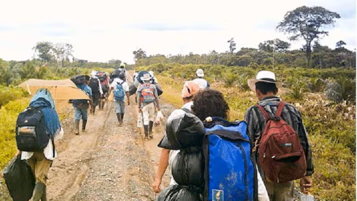 Alarma en el Huila por desaparición de menores, amenazas y desplazamiento de víctimas