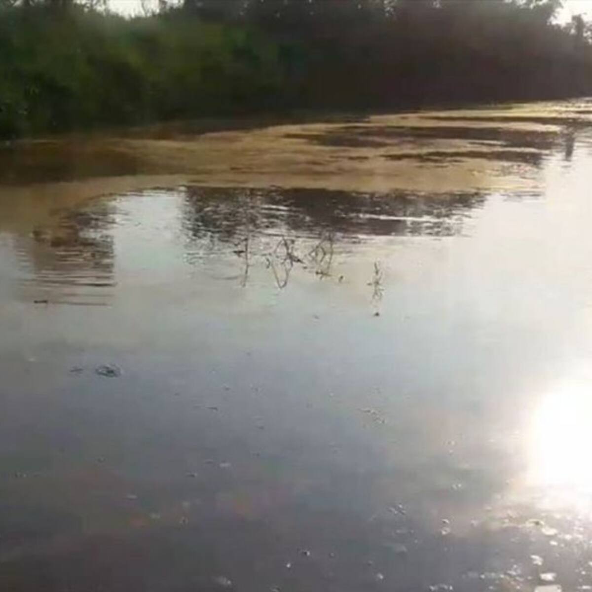 Atentan contra miembros de Fedepesan en monitoreo de Barranca
