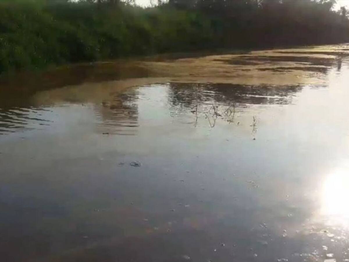 Atentan contra miembros de Fedepesan en monitoreo de Barranca