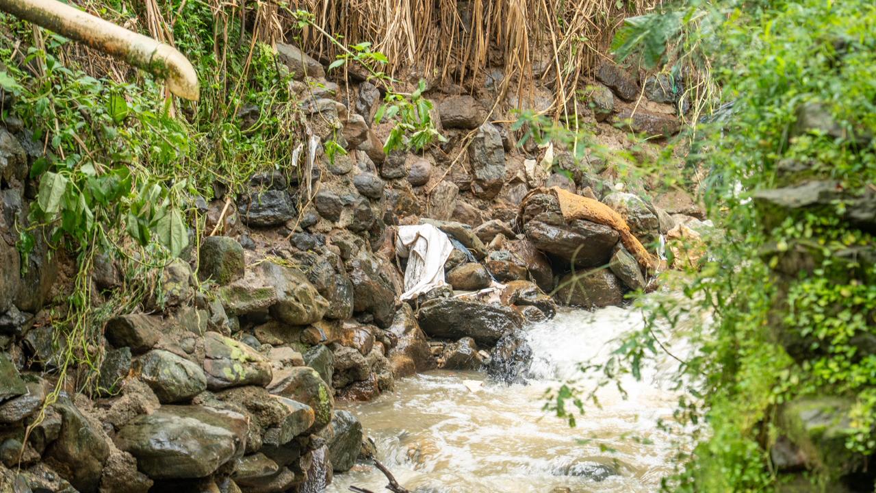 Cortesía: Alcaldía de Medellín